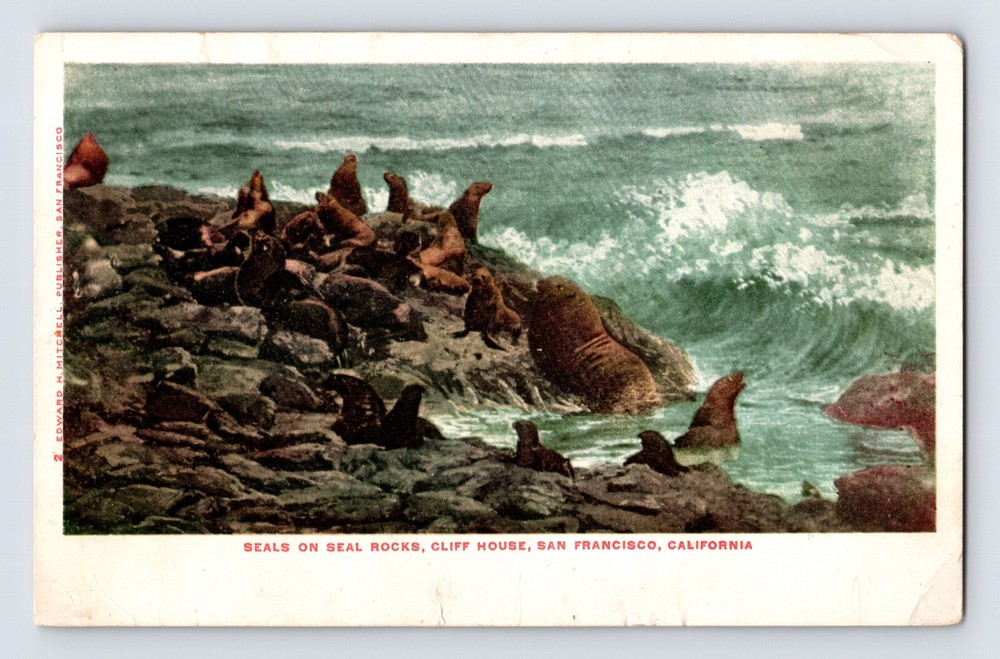 Postcard California San Francisco CA Seal Rocks Cliff House Pre-1907 Unposted