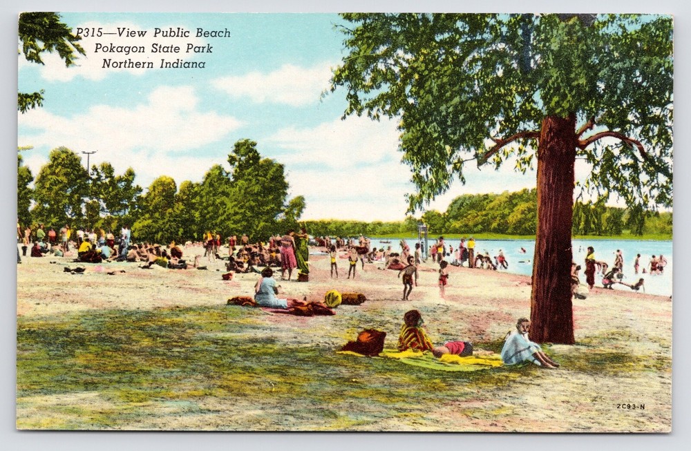c1950s~Pokagon State Park~Lake James~Beach Bathers~Northern Indiana~VTG Postcard