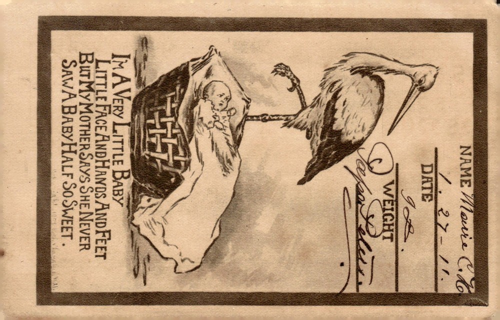1911 St Louis MO Stork Baby Birth Announcement Victorian Illustration Postcard