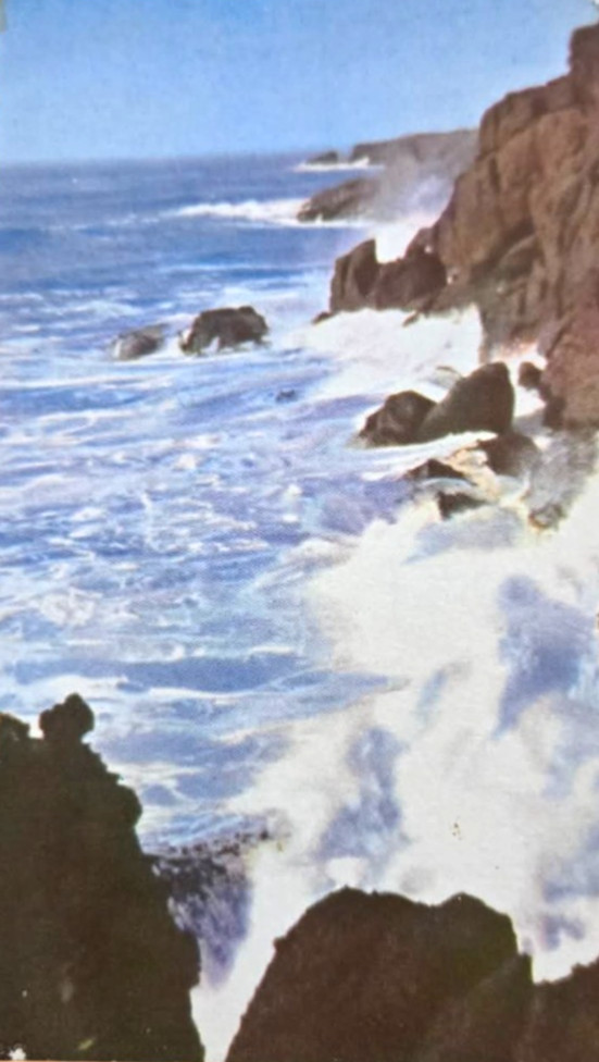 1939 Color Photograph Postcard Oregon’s Coast Union Oil Scenes of The West