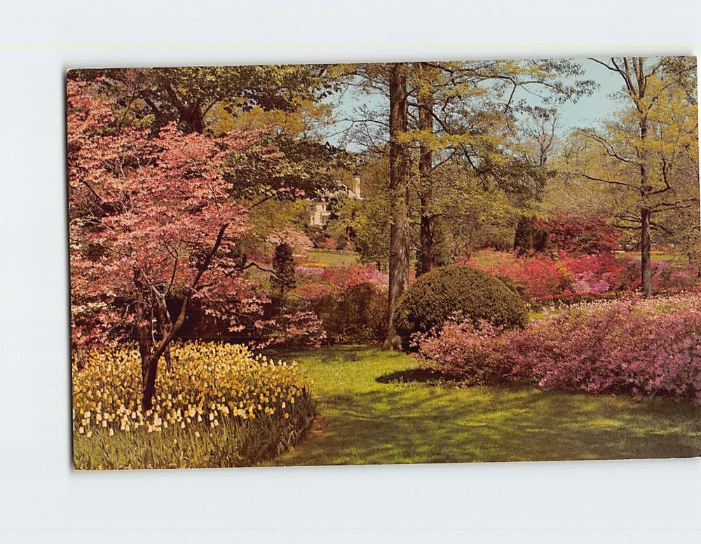 Postcard Autumn Sherwood Gardens Baltimore Maryland