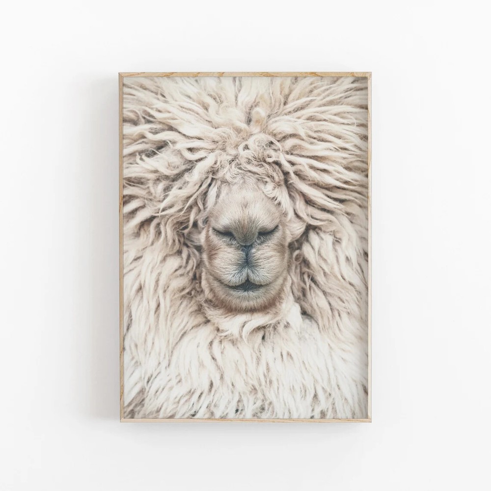 Póster de Arte Alpaca Llama Granja Calidad Premium Elige Tu Talla