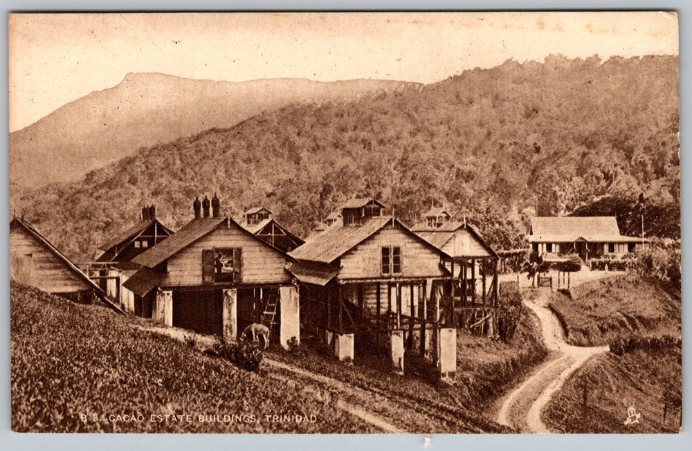 Antique Postcard Cacao Estate Manager's House Trinidad 1910s