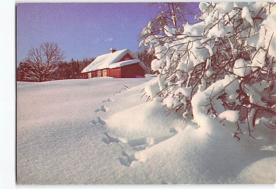 Postcard Merry Christmas with House Trees Snow Landscape Scenery