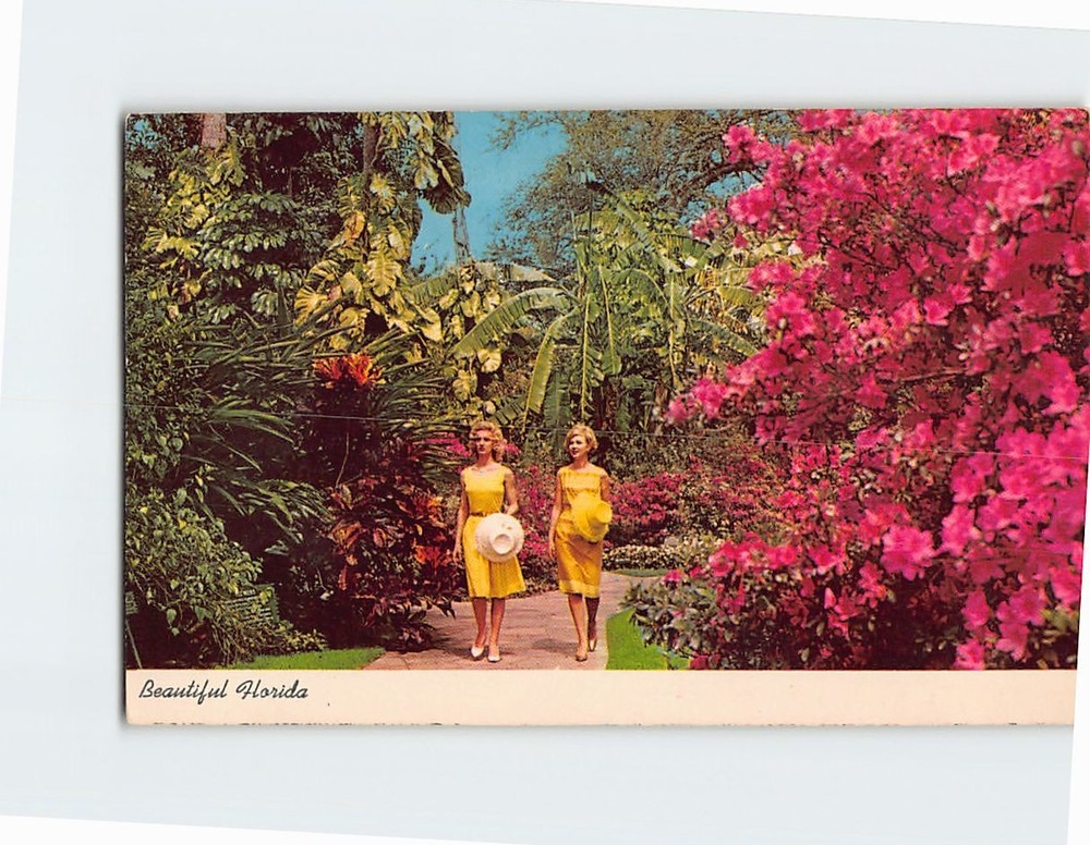 Postcard Brilliant Azaleas Border A Walk In A Florida Tropical Garden FL USA