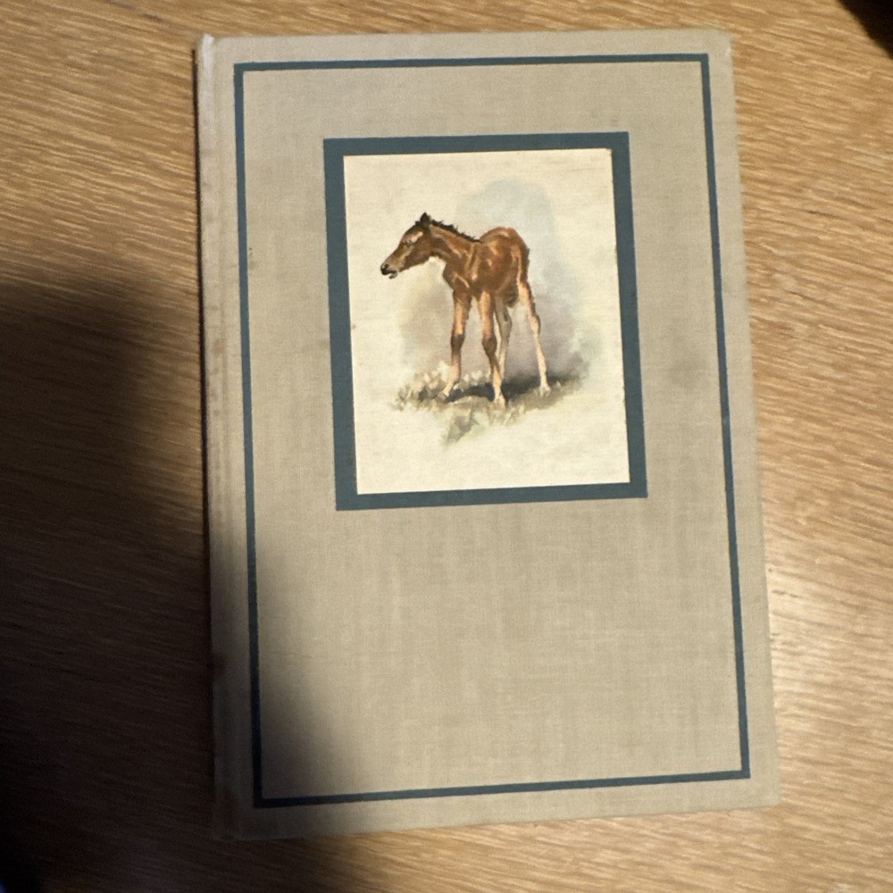 The Red Pony John Steinbeck Hardcover Illustrated Wesley Dennis Viking 1945