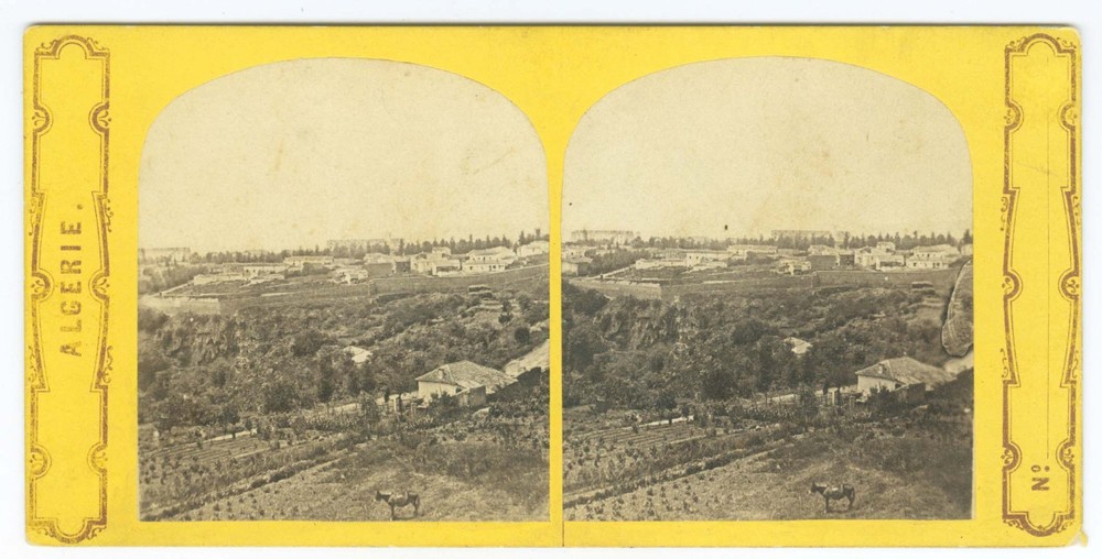 G2176~ ALGERIA – Miliana Village c.1860s Stereoview [RARE]