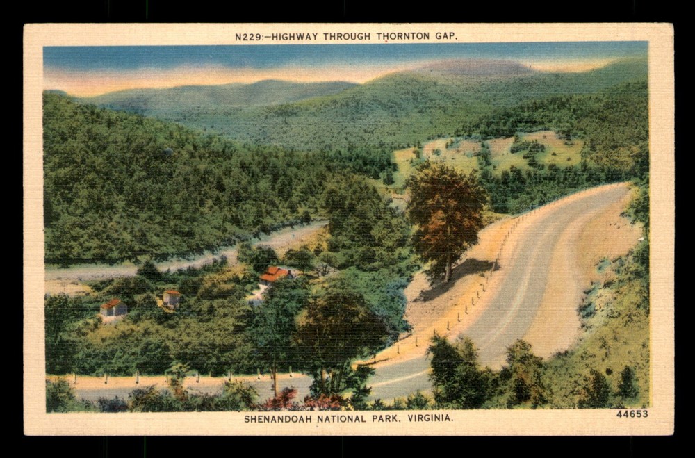Highway Through Thornton Gap Shenandoah National Park VA Virginia Postcard Unp