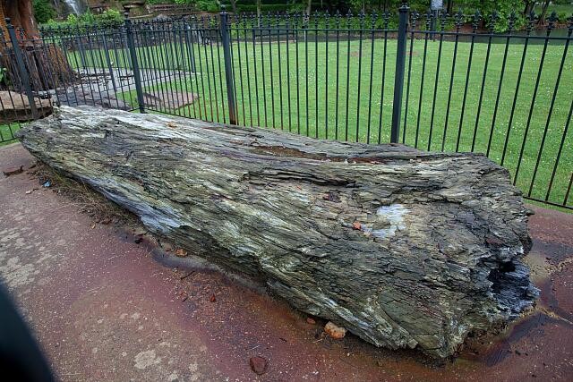 Photo:Tuscumbia Alabama Spring Park Giant Log 2010