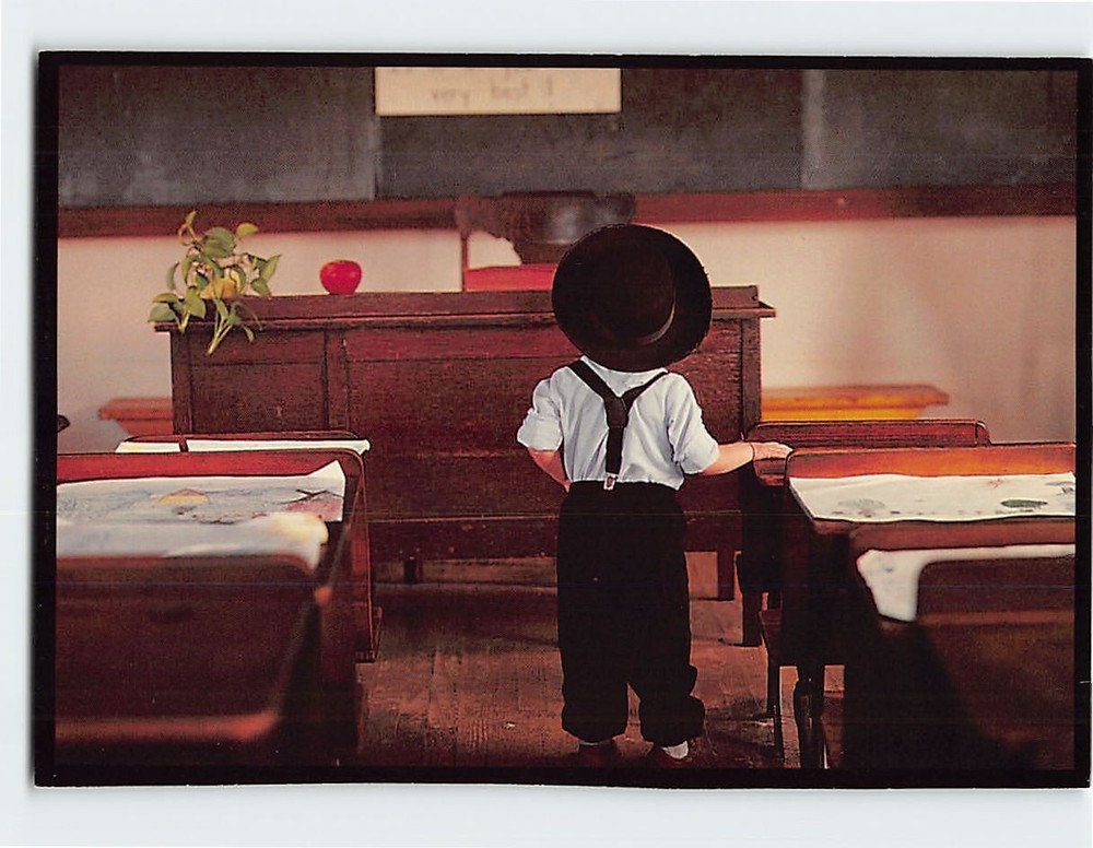 Postcard A young scholar ponders the Halls Amish Academe Amish Seasons PA USA