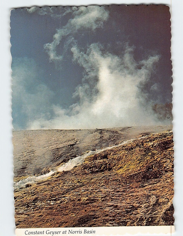 Postcard Constant Geyser At Norris Basin  Yellowstone National Park Wyoming