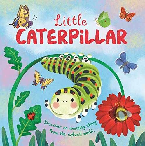 Nature Stories: Little Caterpillar: - Board book, by IglooBooks - Very Good