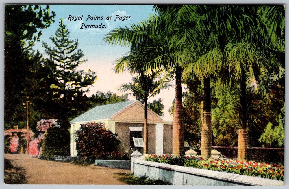Antique Postcard Royal Palms Paget, Bermuda 1910s