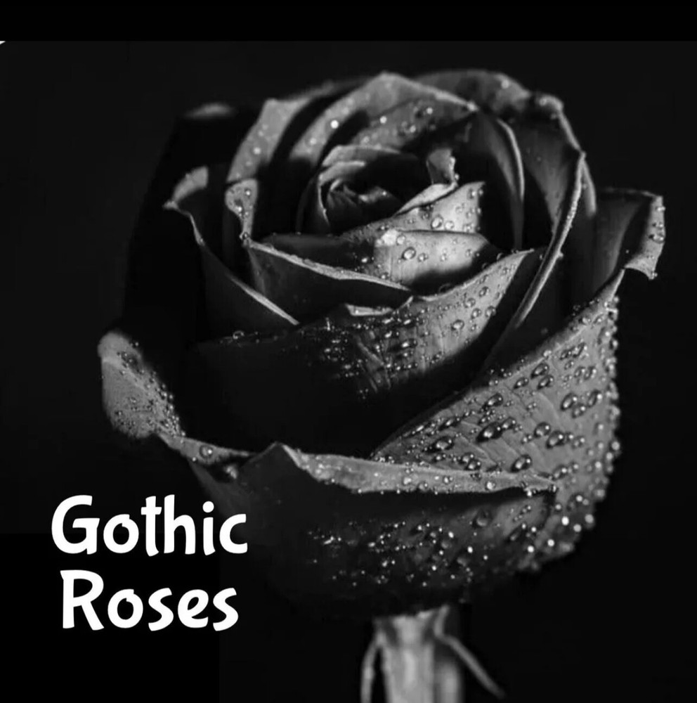 GOTHIC ROSES Perfume Cologne EDP Body Scrub Spray Lotion Bath Fragrance Oil