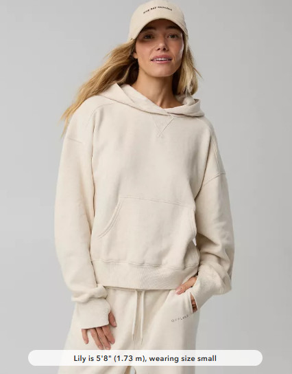OFFLINE By Aerie Cloud Fleece Classic Length Hoodie - Heather Frost (New)