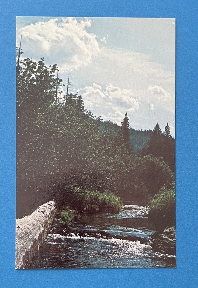 Carpenter Creek St Maries Idaho Postcard Advertising Timberland Resources