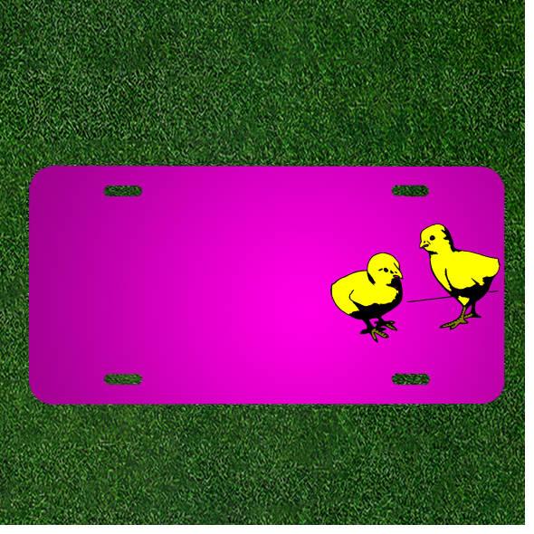 Custom Personalized Car License Plate With Add Names To Chicks Two Young Baby