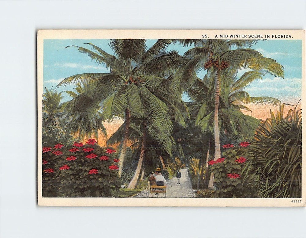 Postcard A Mid Winter Scene In Florida USA