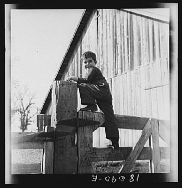 Manteca,California,CA,San Joaquin County,Farm Security Administration,FSA,9