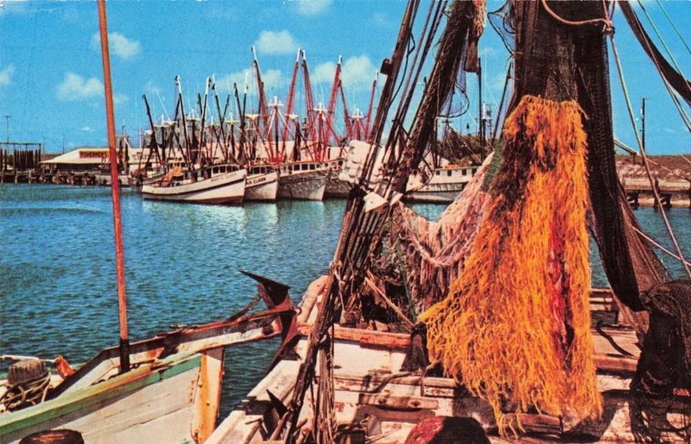 Shrimp Boats Along the Gulf Coast of Texas TX - Postcard