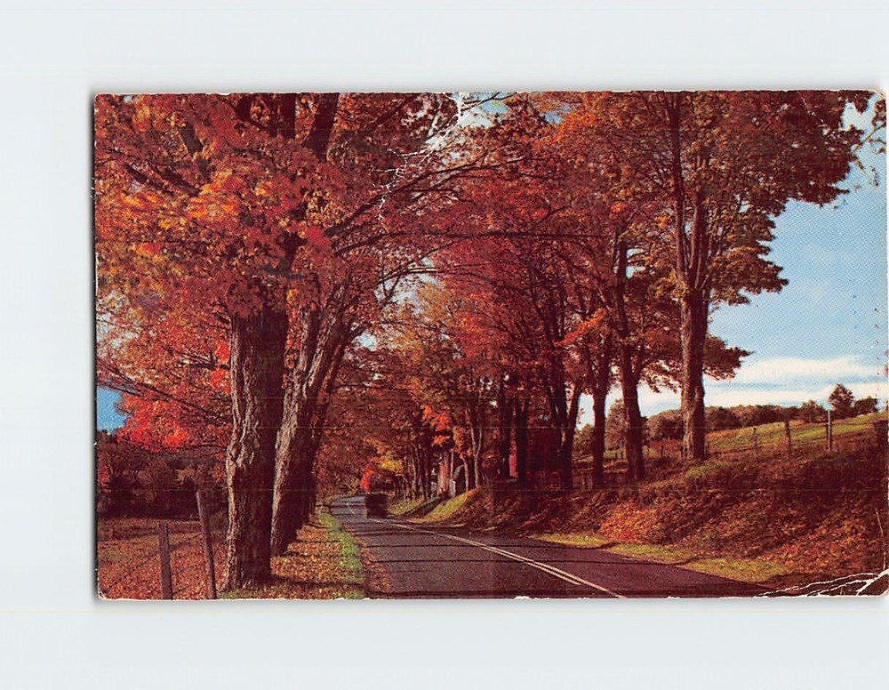 Postcard Greetings from Three Lakes Wisconsin USA