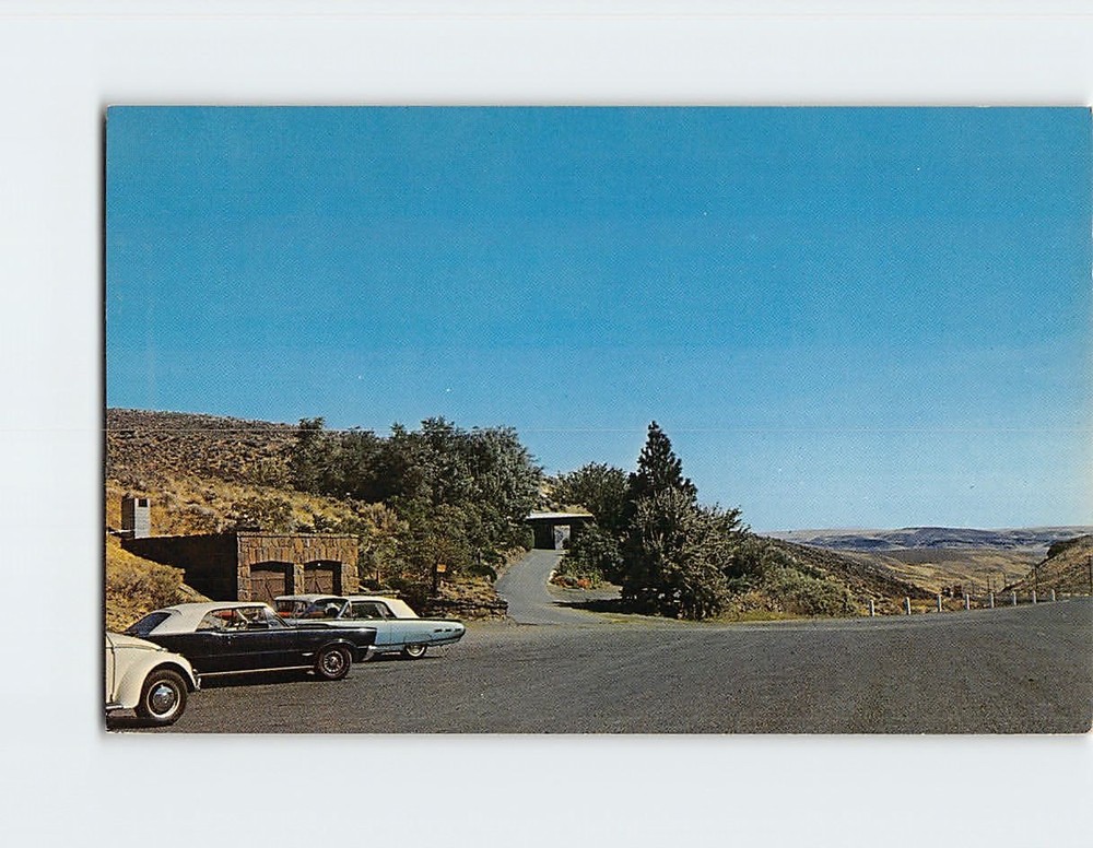 Postcard Ginkgo Petrified Forest State Park Vantage Washington