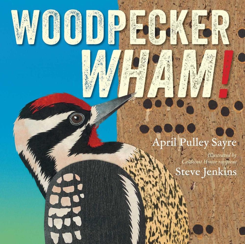 Woodpecker Wham! by April Pulley Sayre Hardcover Book