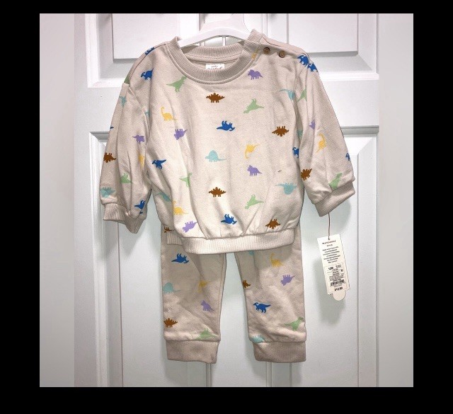 Cat & Jack Baby Boy Dinosaur 2 piece set sweatshirt sweatpants   Size 12 Months