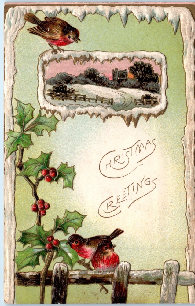 c1910s - Birds and Holly in Winter Heavily Embossed Christmas - Postcard - P13