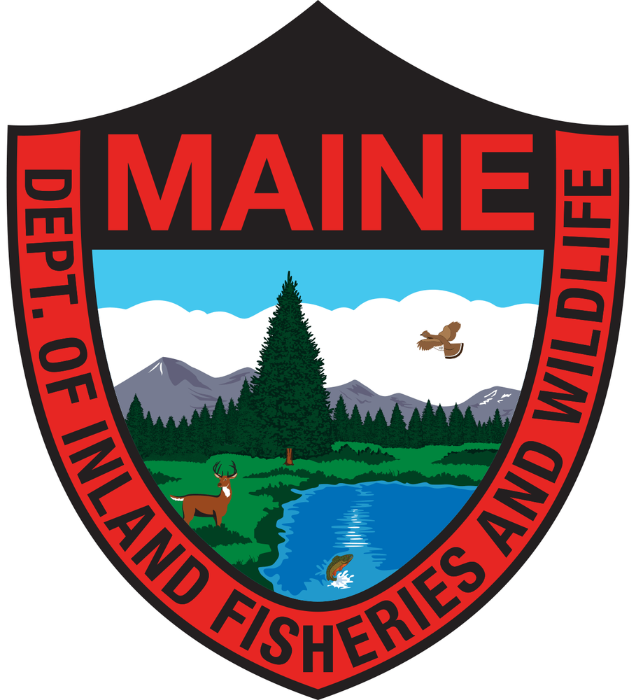 Maine Fisheries and wildlife sticker weatherproof bumper vinyl decal