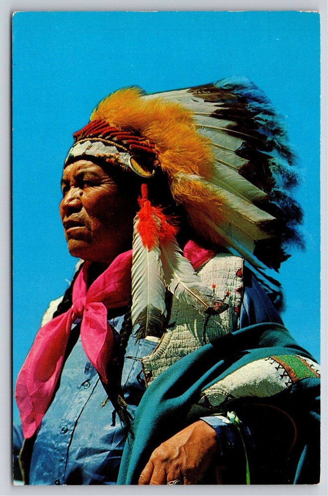 Native Americana Indian~Apache Man In Regalia~Vintage Postcard