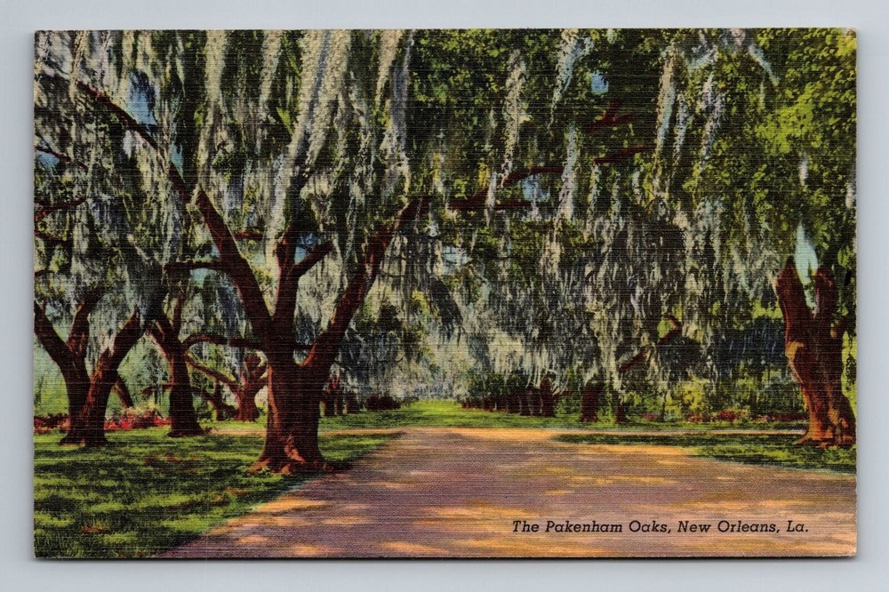 New Orleans LA-Louisiana, Pakenham Oaks, Vintage Postcard