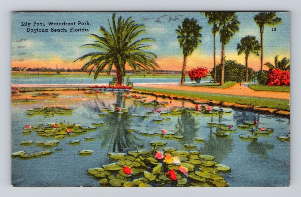 Daytona Beach FL-Florida, Waterfront Park Lily Pool, Vintage c1952 Postcard