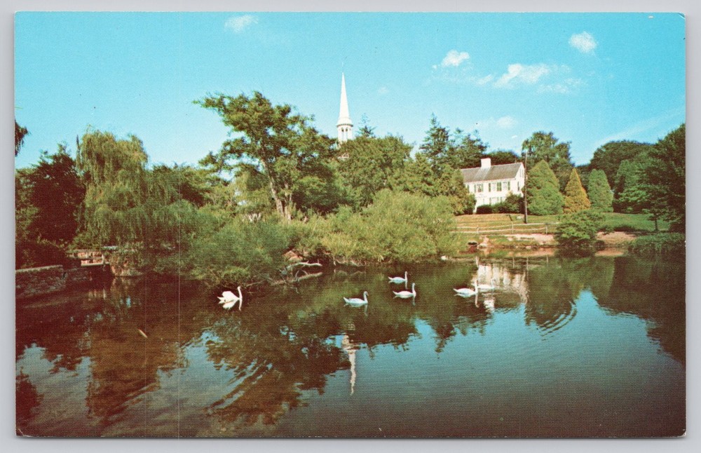 Shawame Pond Sandwich Cape Cod MA Swans First Church Chrome Postcard
