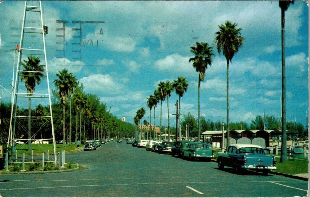 St Petersburg FL-Florida, Bayshore Drive, Scenic View, Vintage Postcard