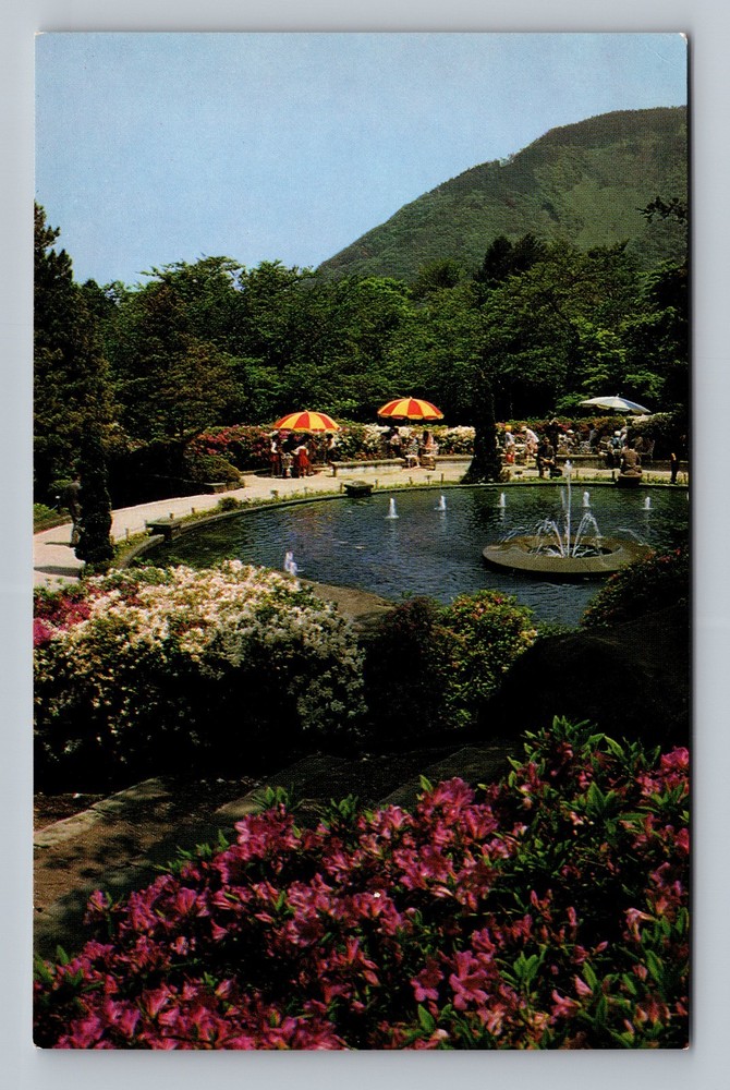 Japan- Hakone Gora National Park Pond Souvenir Postal Old Card Vintage Postcard
