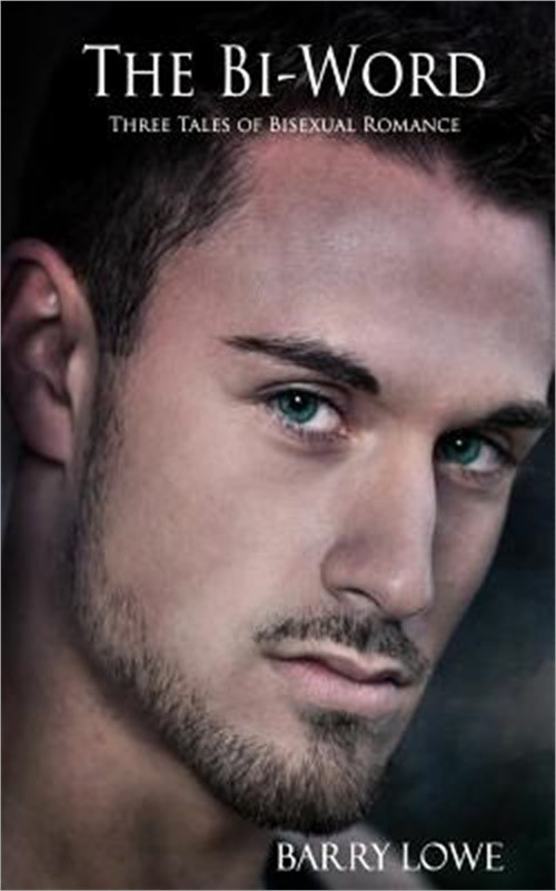 The Bi-Word: Three Tales of Bisexual Romance (Paperback or Softback)