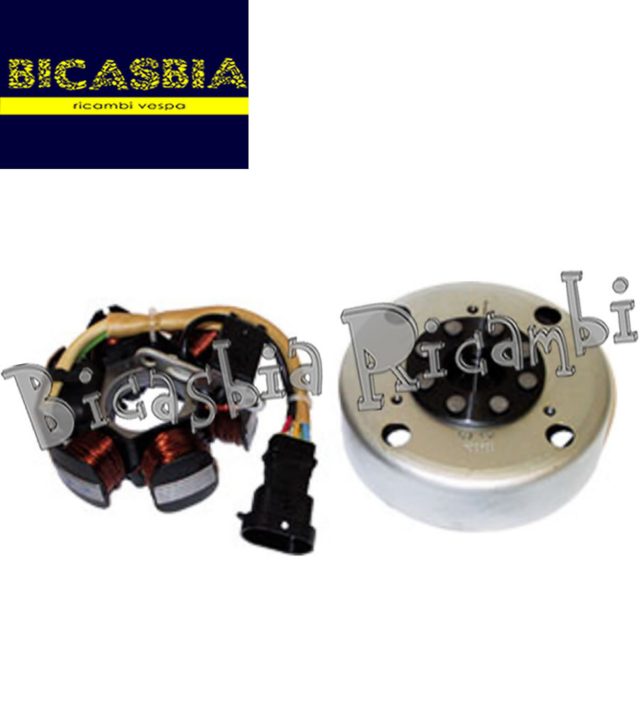 Stator and Flywheel Magnet for Piaggio 50 NRG Power DD DT Typhoon 2526