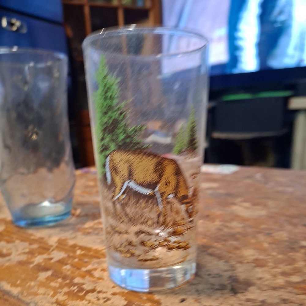 Libbey Lord Calvert White Tail Deer Tumbler Glass EUC