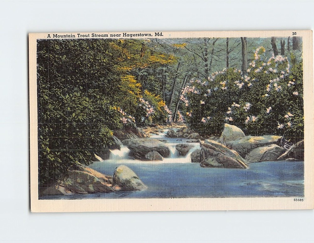 Postcard Mountain Trout Stream near Hagerstown Maryland USA