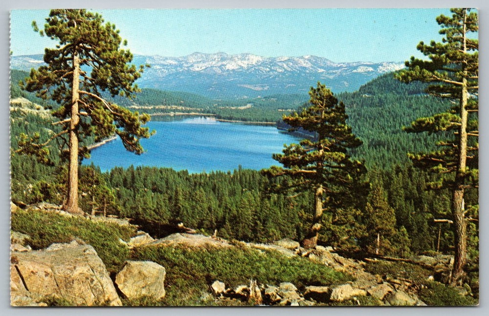 Donner Lake California Scenic View Plastichrome Postcard Tahoe Mountains