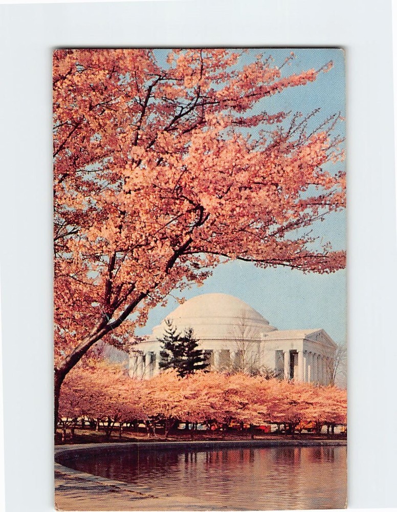 Postcard Jefferson Memorial Washington DC