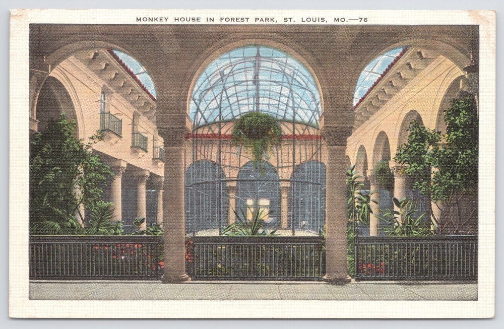 Animal~Monkey House In Forest Park St Louis MO~EC Kropp Vintage Postcard
