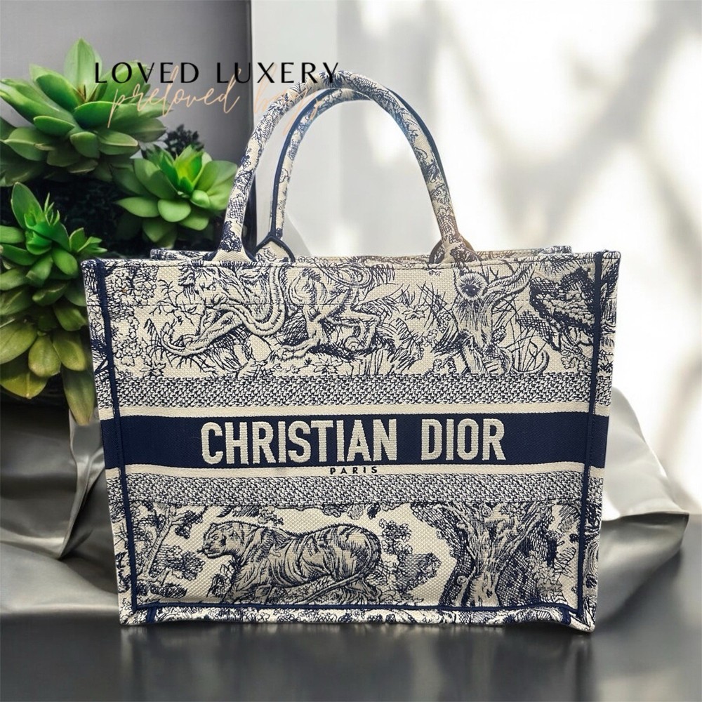 Dior Book Tote Medium
