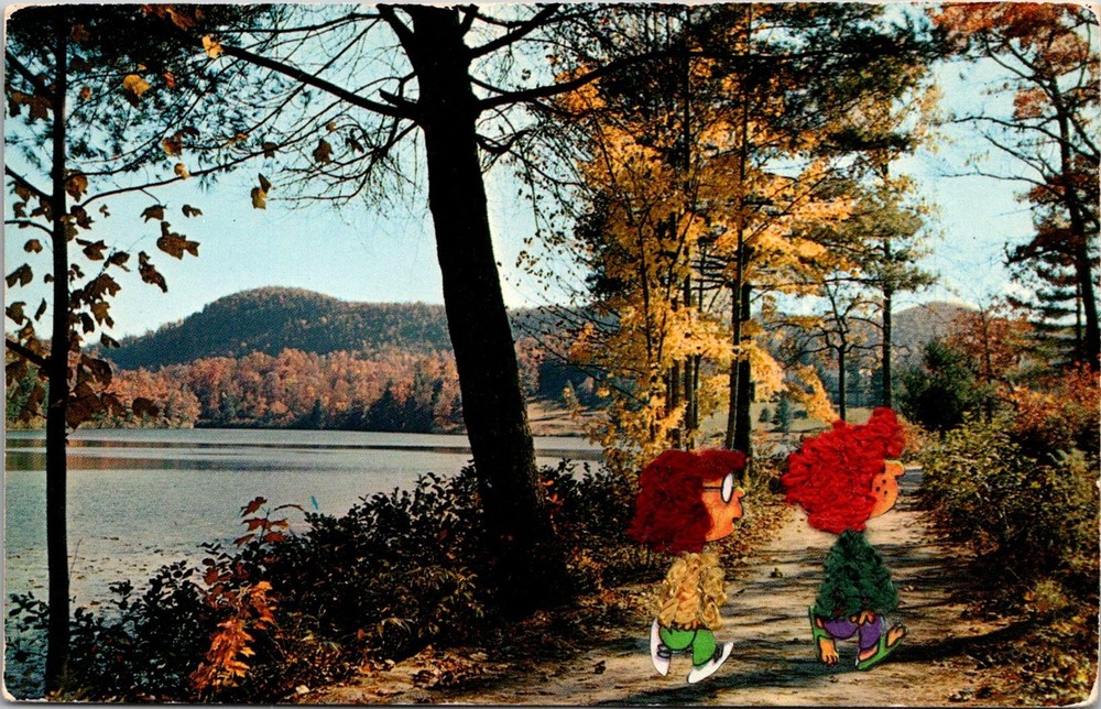 Dr Jim Stamps Postcard Peanuts Characters Pasted Into Peaceful Landscape