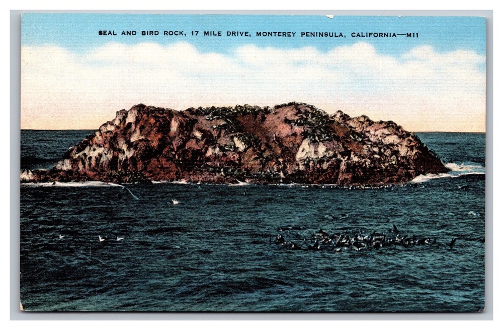 Monterey Peninsula CA California Seal and Bird Rock 17 Mile Drive Linen Postcard
