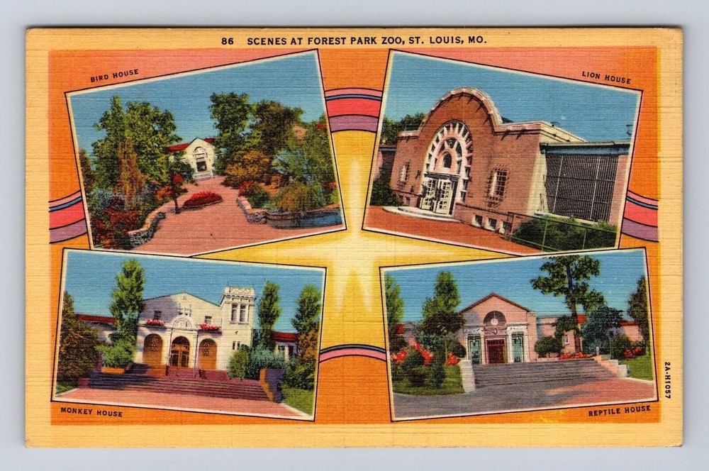 St Louis MO-Missouri, Scenes At Forest Park Zoo, Antique Vintage c1946 Postcard