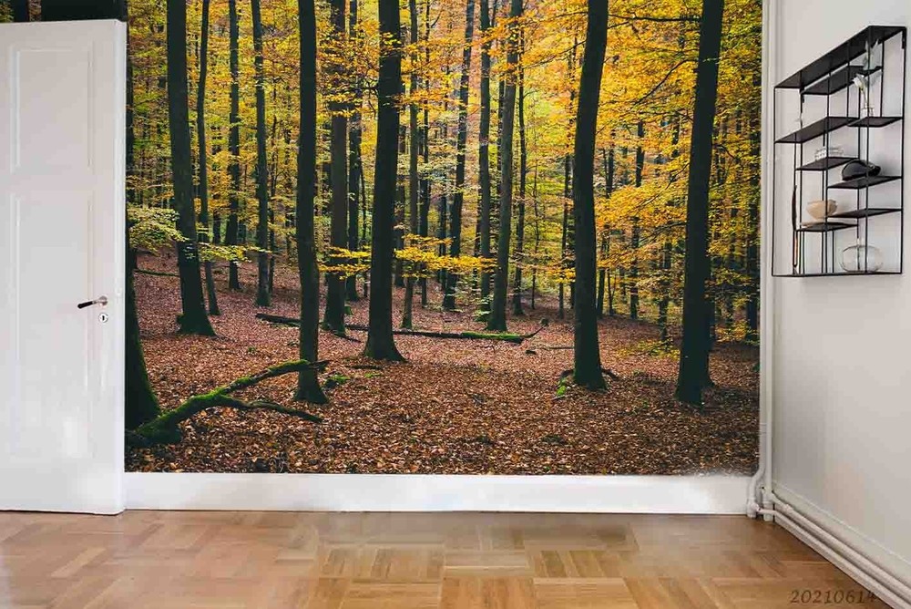 3D Forest Autumn Landscape Wall Murals Wallpaper Murals Wall Sticker