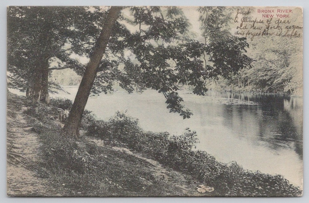 1911 Bronx River New York Postcard Fordham NY Vintage Scenic View
