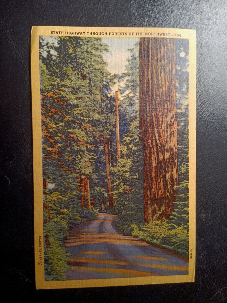 2 Vintage Postcards